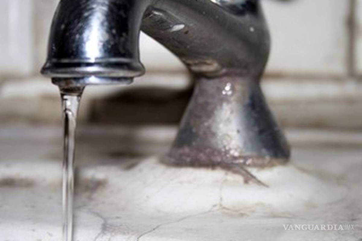 $!Evita el mal uso del agua con prácticas amigables con el ambiente