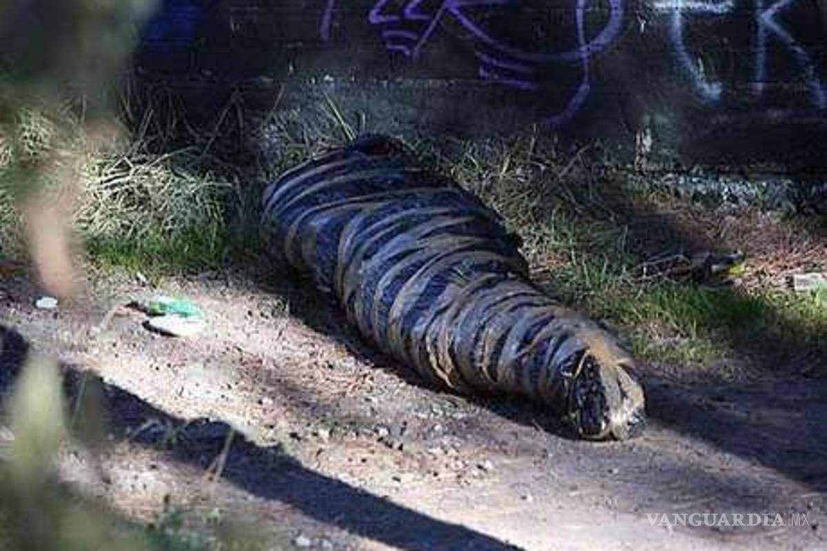 Delitos violentos en México registran su menor baja en 5 años: Índice de Paz