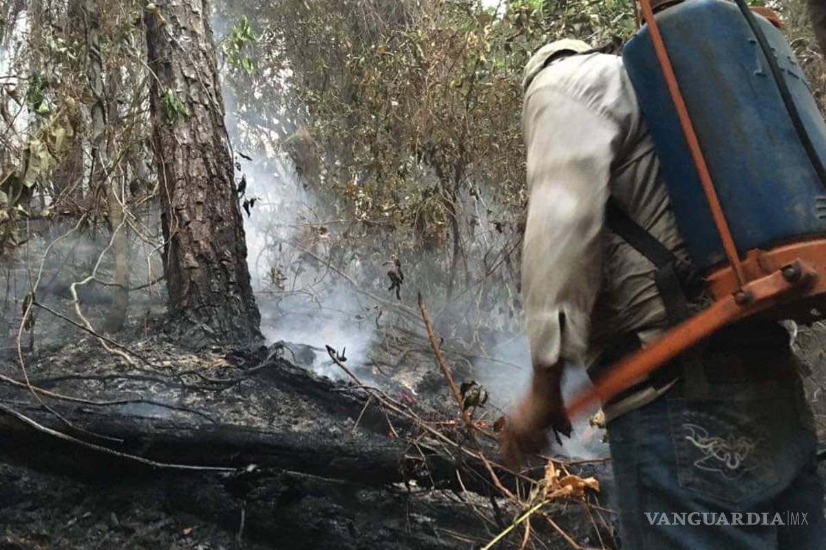 Selva Ayuuk en Oaxaca bajo amenaza por incendio