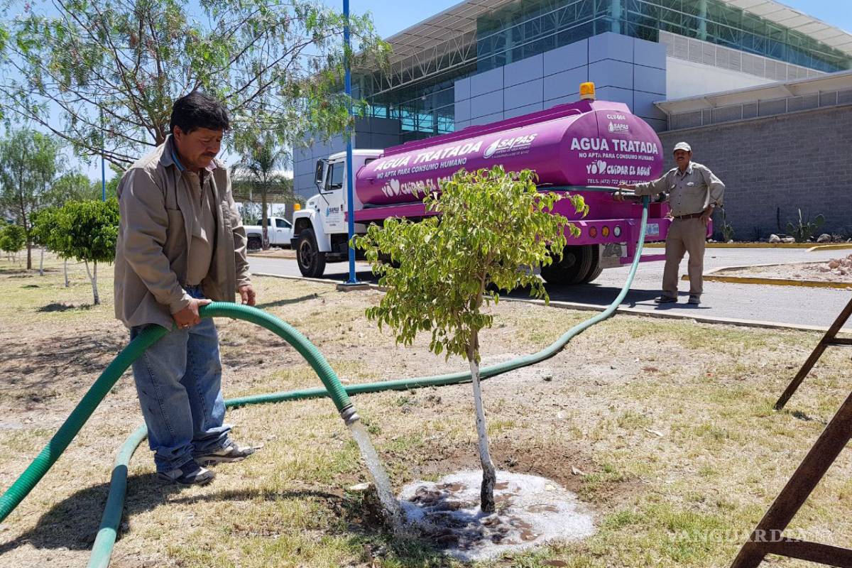 Piden concluir ‘línea morada’