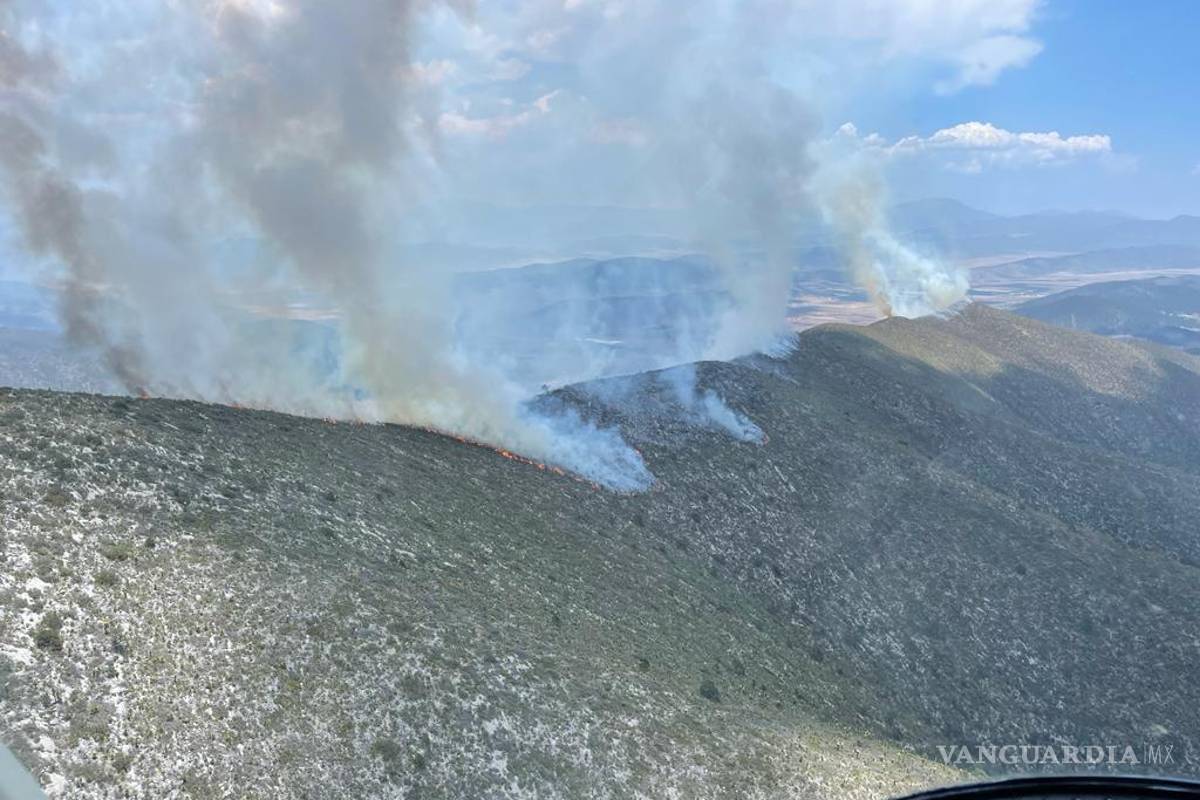 Sierra de Arteaga: consumen dos incendios 40 hectáreas en solo 24 horas; Bosques de Huachichil y Jagüey de Ferniza, los afectados