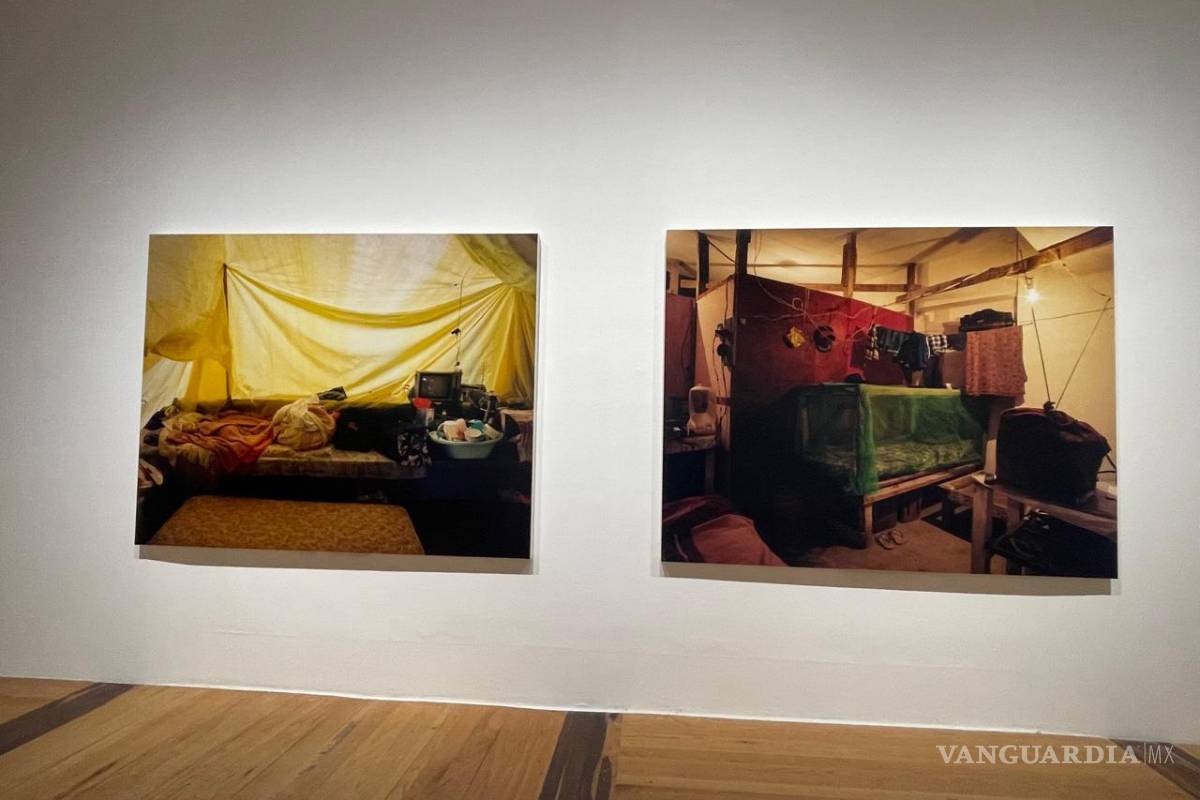 Presentan en Marco exposición ‘Diálogos. Artistas Mujeres en la Colección Ella Fontanals-Cisneros’