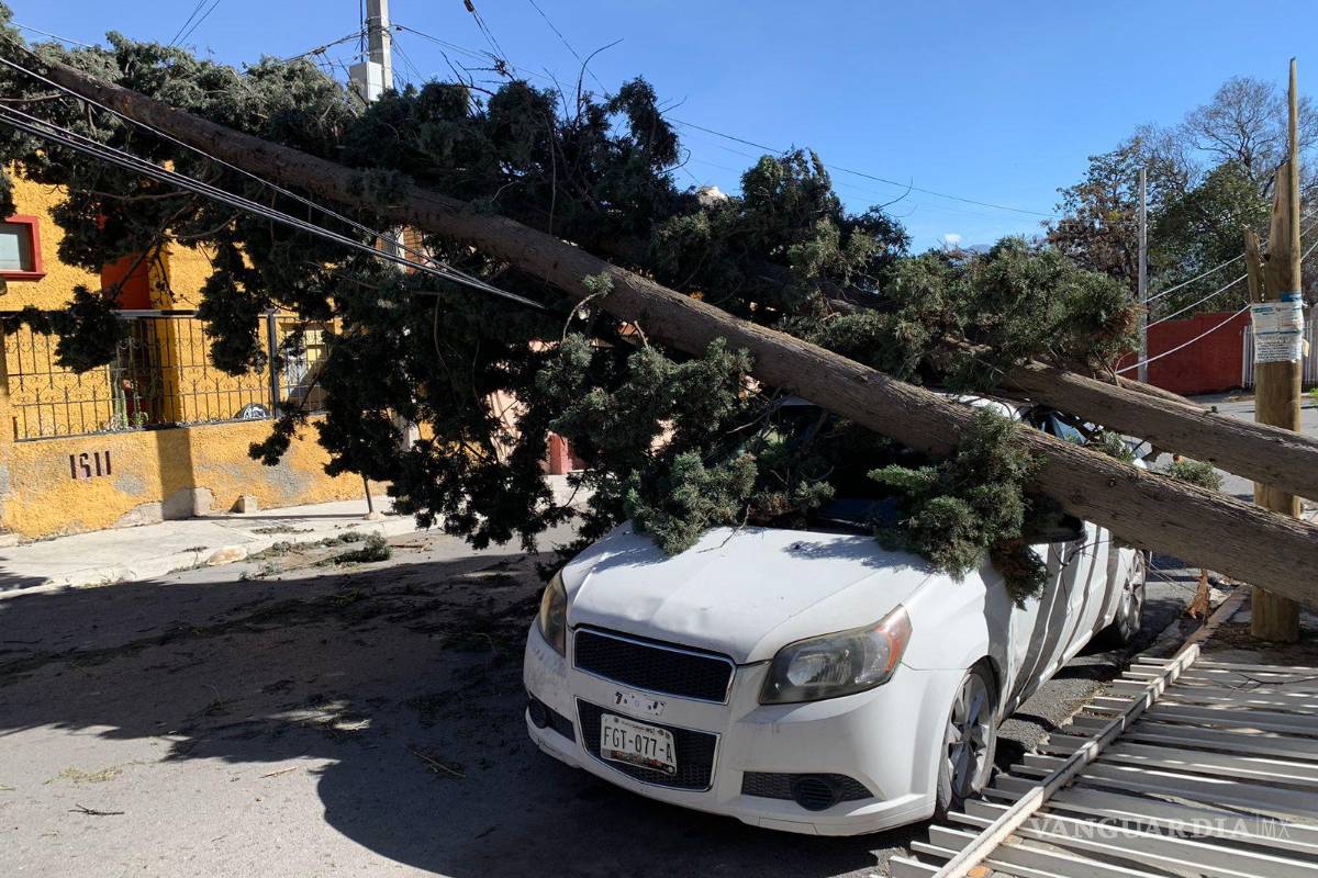 Se han recibido 25 reportes de incidentes por fuertes vientos: Protección Civil de Saltillo