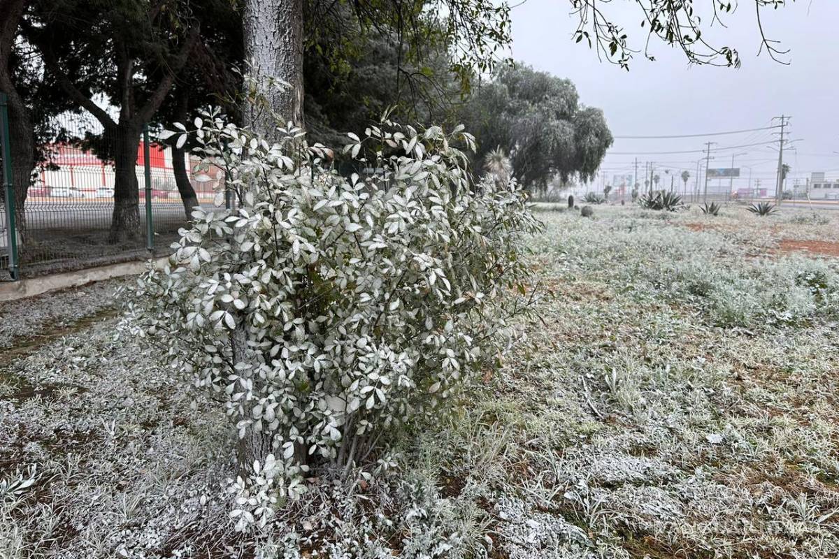 Ramos Arizpe se viste de blanco con la caída de aguanieve; Frente Frío 27 golpea la región Sureste de Coahuila