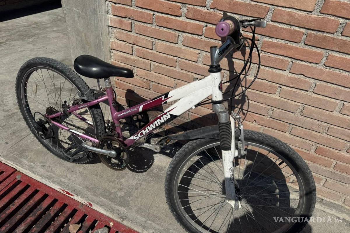 Detienen a banda de ladrones del oriente de Saltillo