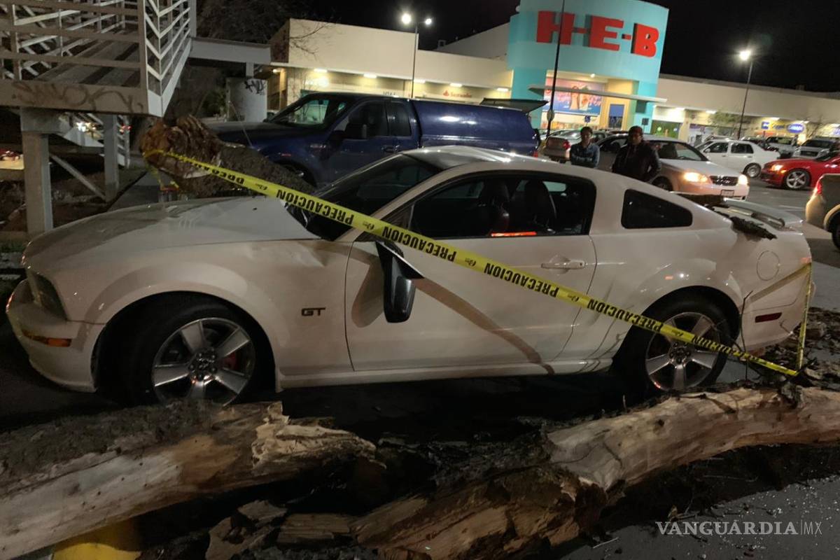 $!Cae árbol sobre auto en estacionamiento de plaza comercial al sur de Saltillo