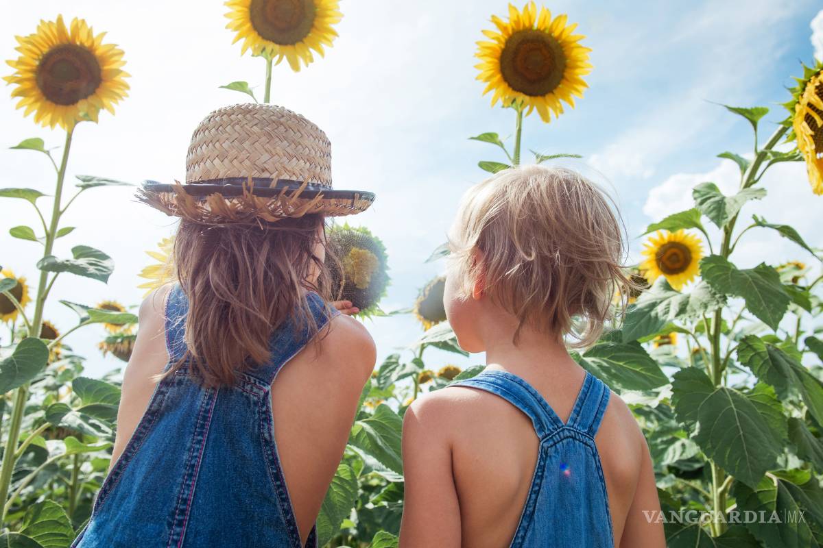 Polémica solución al cambio climático: No tengas hijos
