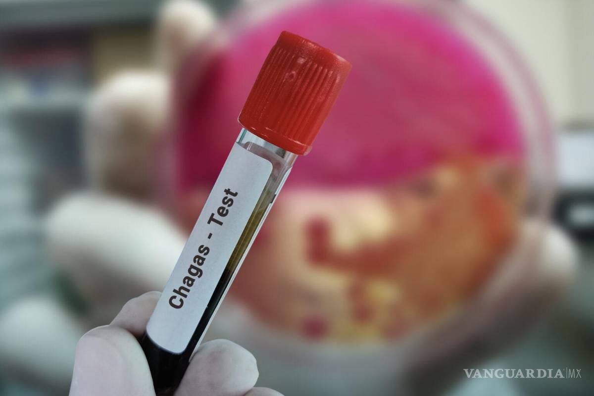 EU confirma que la enfermedad de Chagas; se ha expandido en 32 estados