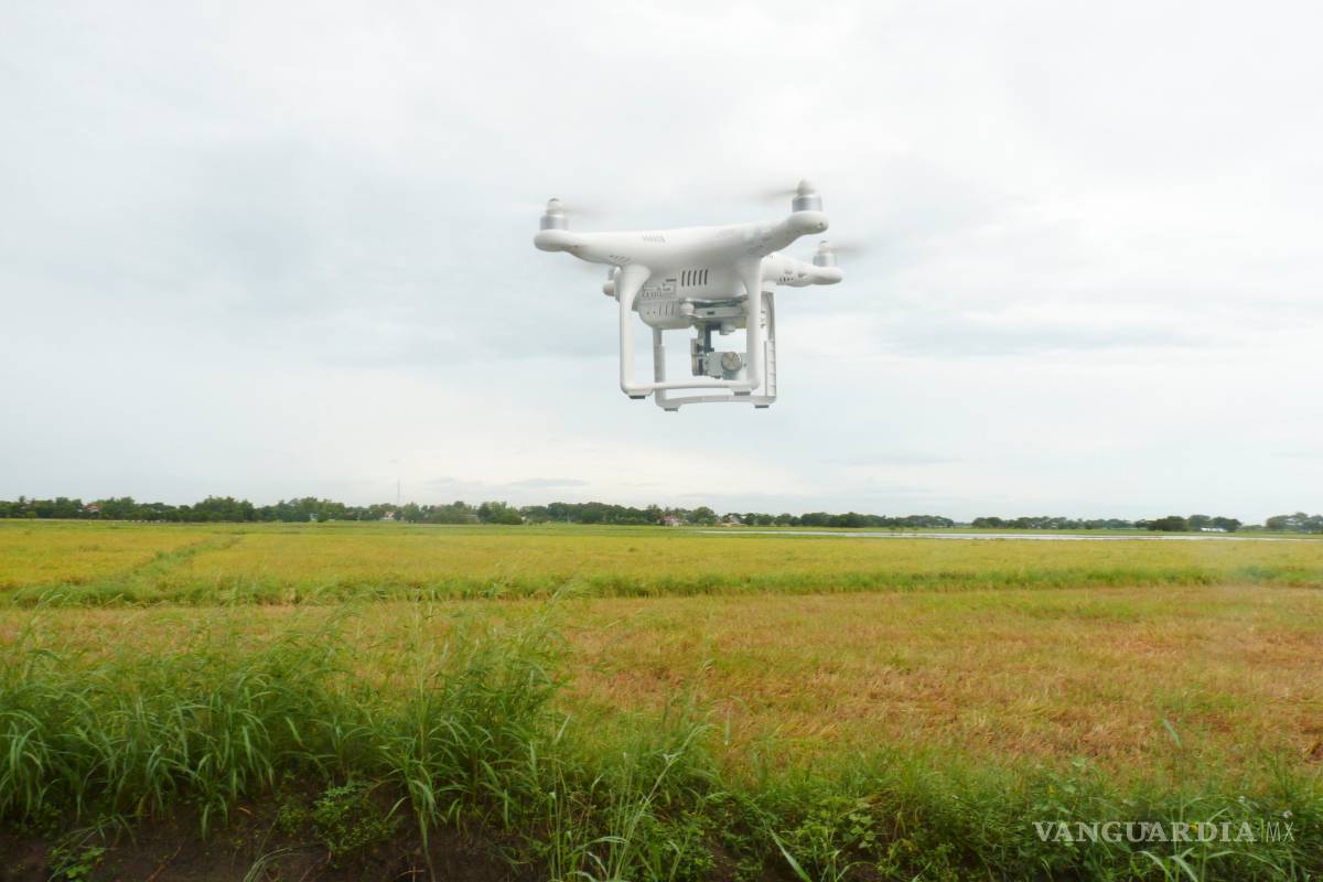 El futuro de la agricultura está entre los robots y la biotecnología