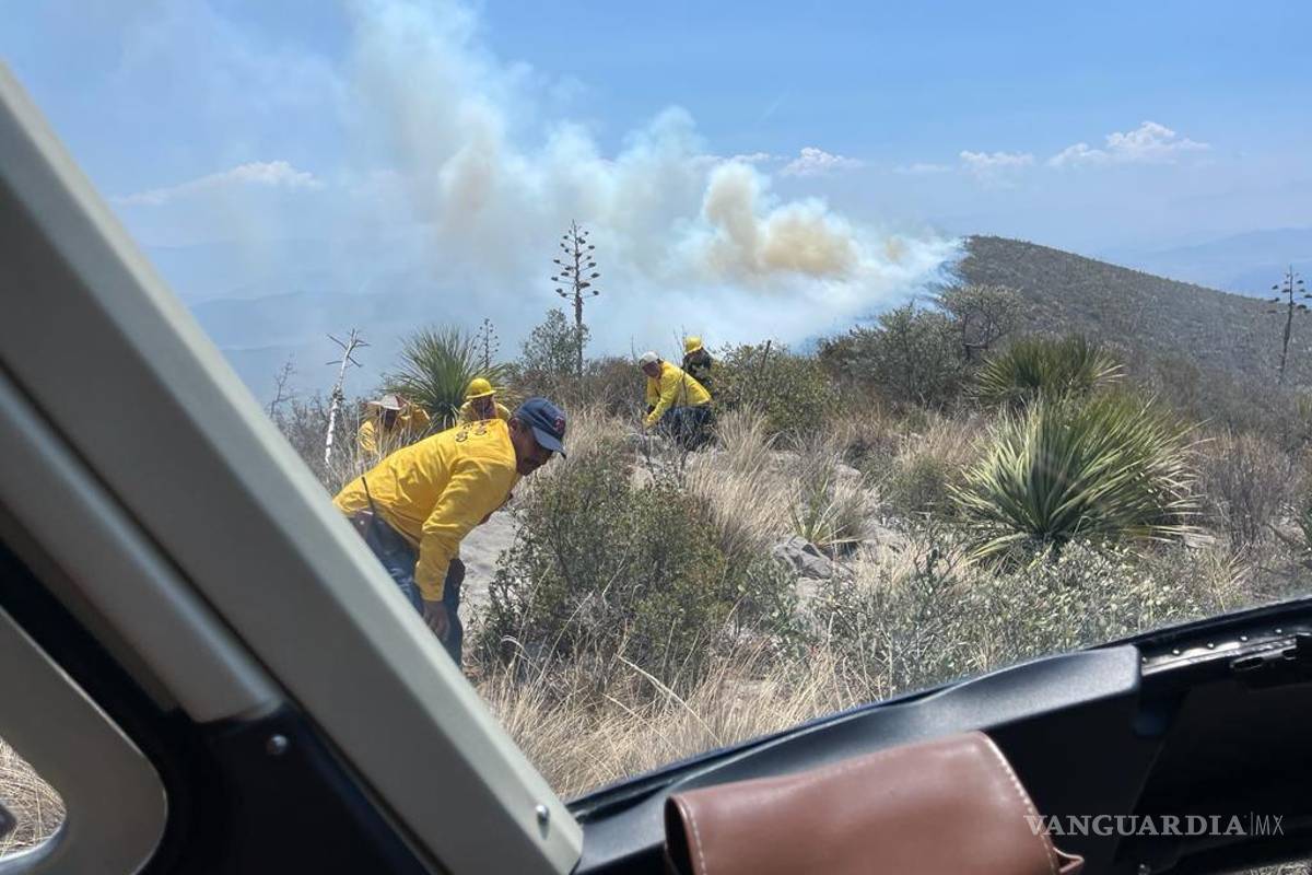 Sierra de Arteaga: consumen dos incendios 40 hectáreas en solo 24 horas; Bosques de Huachichil y Jagüey de Ferniza, los afectados