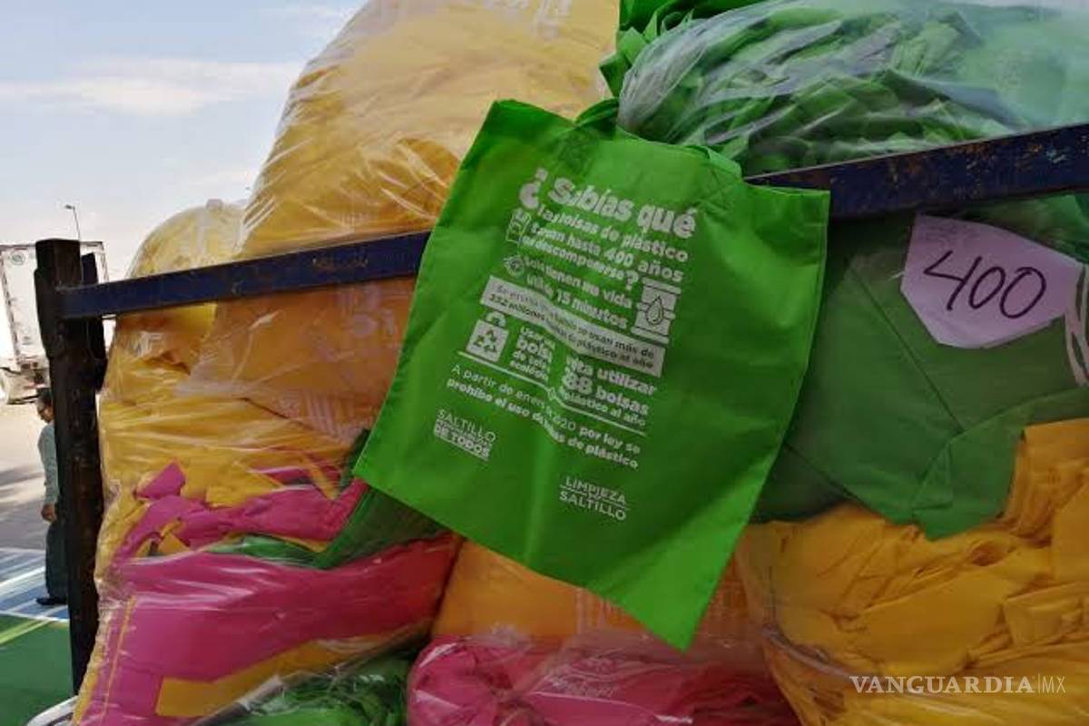 Advierten asociaciones que no todas las familias tienen recursos para sufragar el gasto de una bolsa ecológica