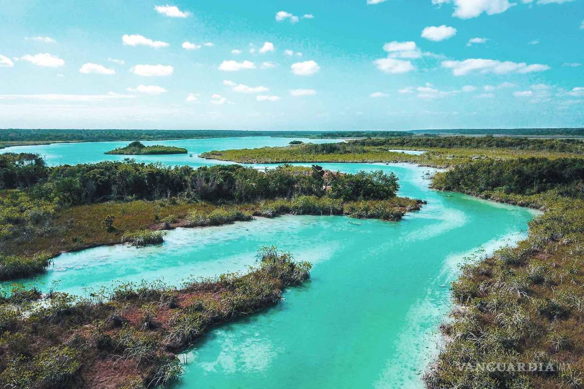 Qué es el Estero de Chac, donde la SEDENA suspendió obras del Tren Maya