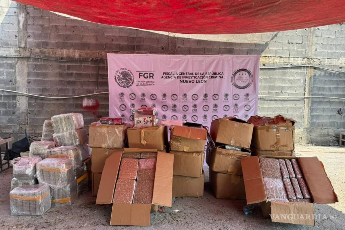 FGR asegura más de 700 kilos de mariguana en Santiago, Nuevo León