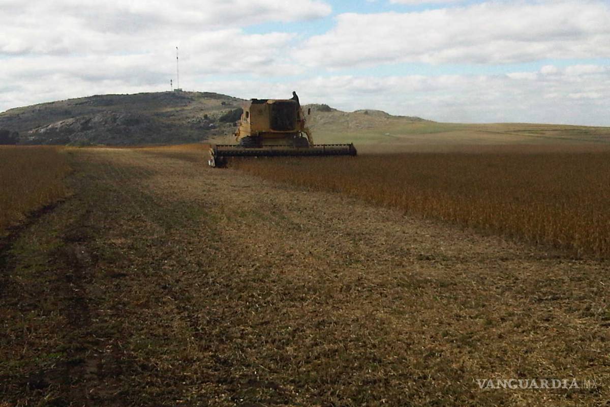 Los desastres naturales aumentan las importaciones agrícolas en Latinoamérica