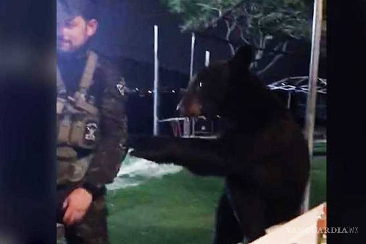 En medio de un partido de gotcha en NL, aparece oso y da 'manotazo' a jugador