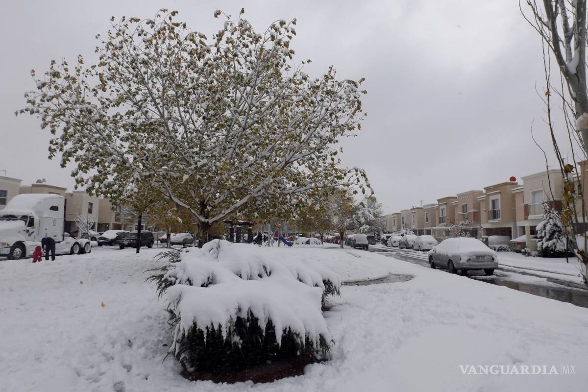 Declaratoria de emergencia para 20 municipios de Chihuahua por nevadas