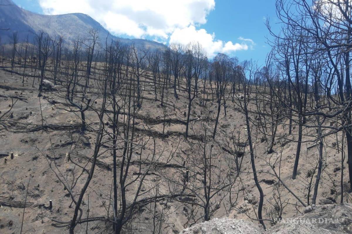 Sin fecha para resolver el caso de La Pinalosa; está en etapa intermedia y sin avance