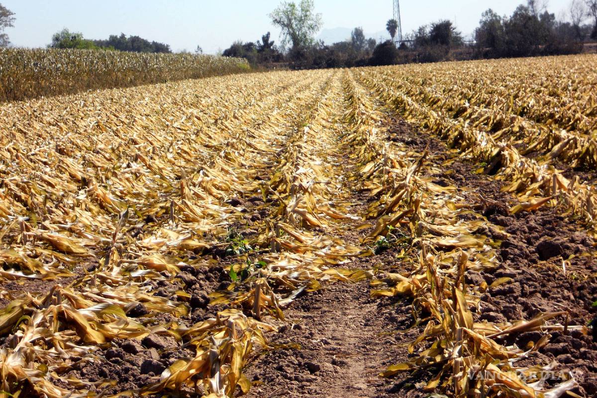 En 2030, 100 millones podrían caer en pobreza por efectos de cambio climático, advierte Banco Mundial