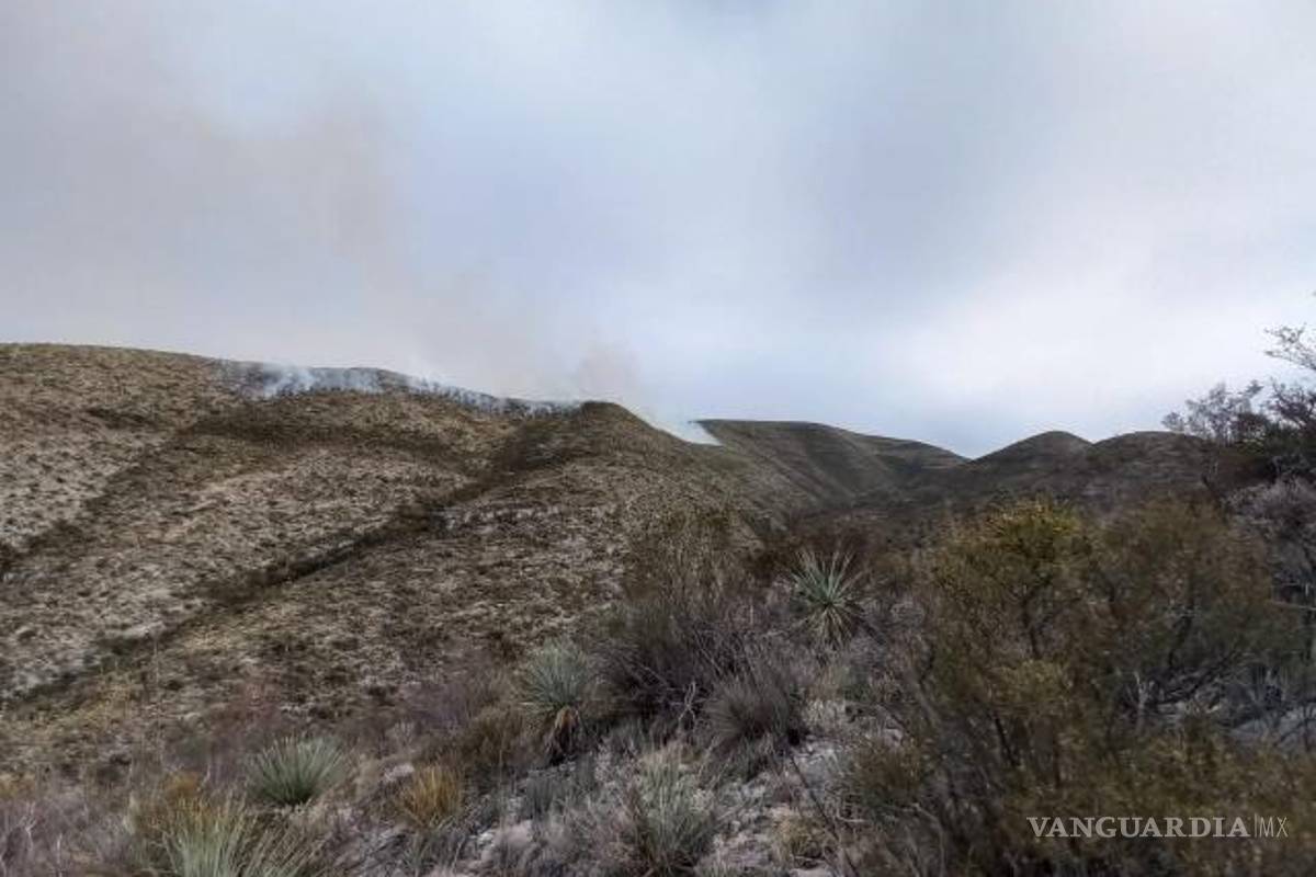 Dañadas 600 hectáreas por incendio en sierra San Marcos