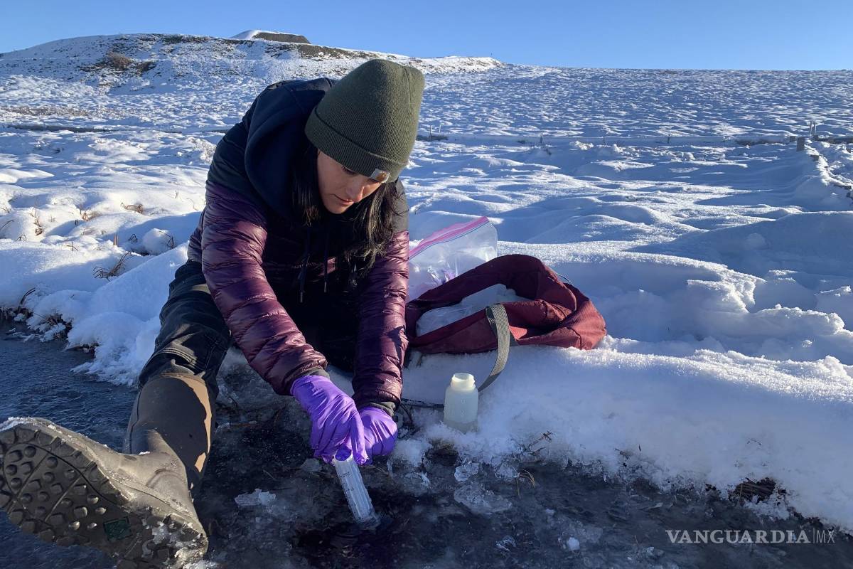 La guerra en Ucrania ha sido un obstáculo contra las investigaciones en el Ártico ruso