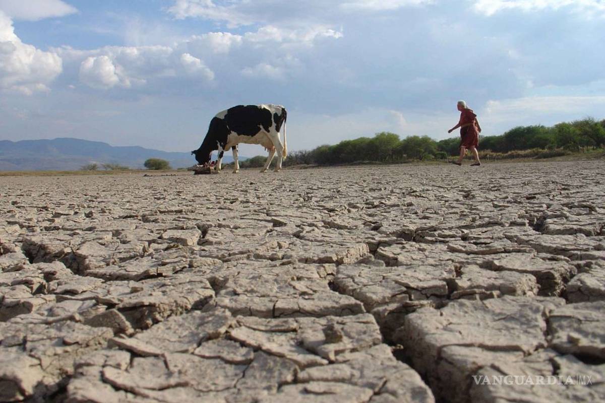 Buscan declarar en Nuevo León emergencia por sequía