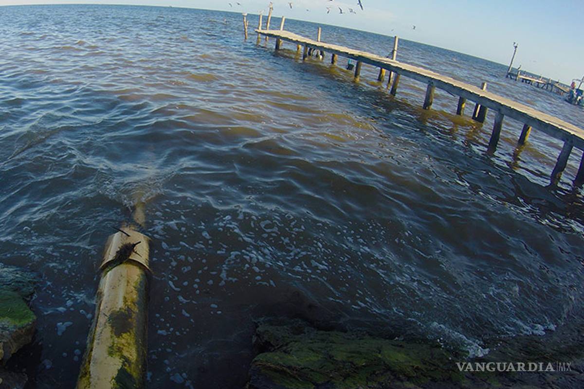 Gobierno federal inicia controversia constitucional para defender a Holbox