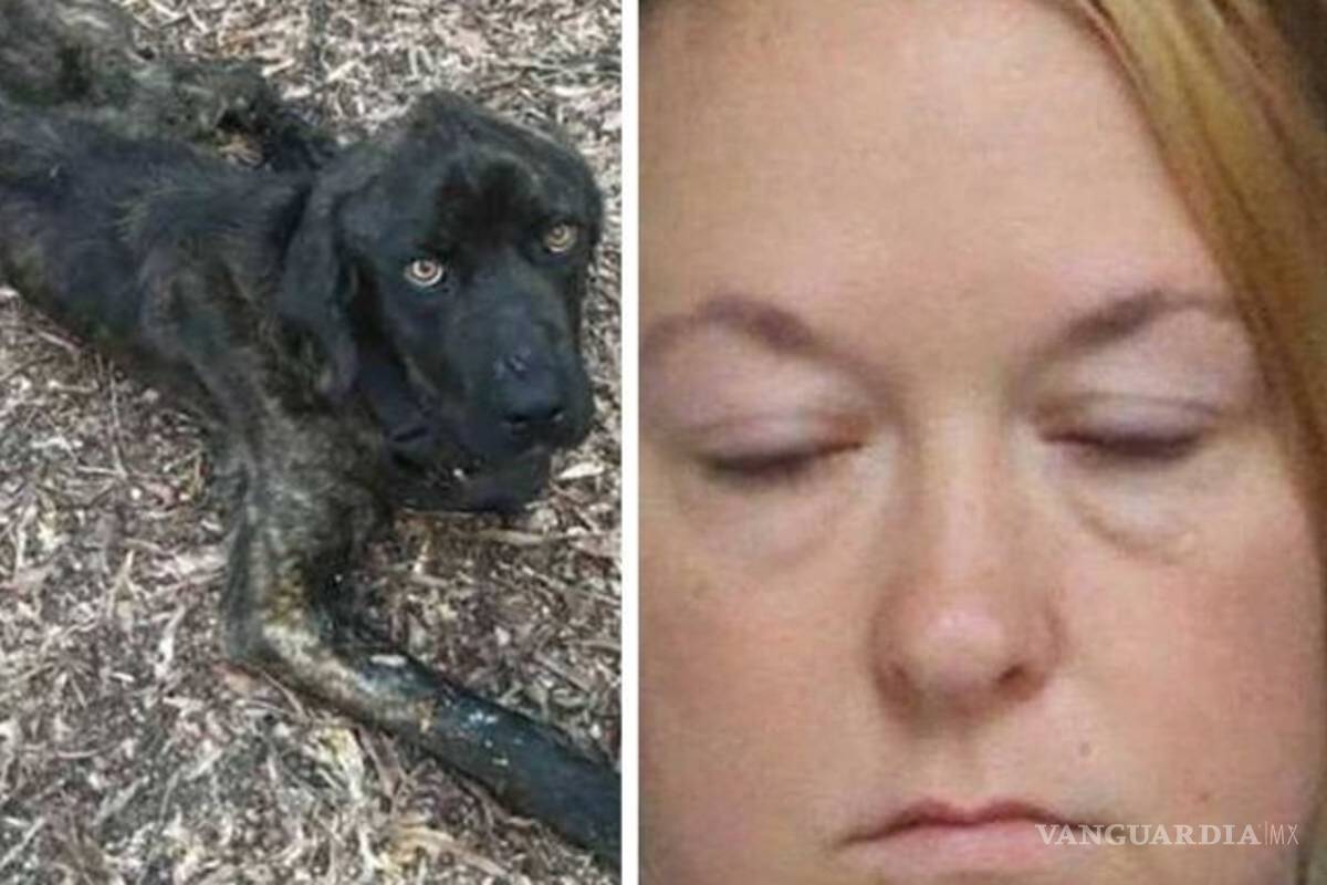 Para vengarse del ex, mujer casi mata de hambre a su perro