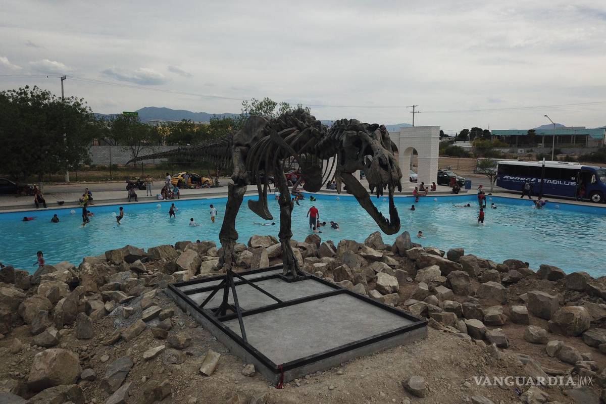 $!En medio del lago artificial se instaló una estructura de Tiranosaurio Rex, misma que se colocó en colaboración con el Museo del Desierto.