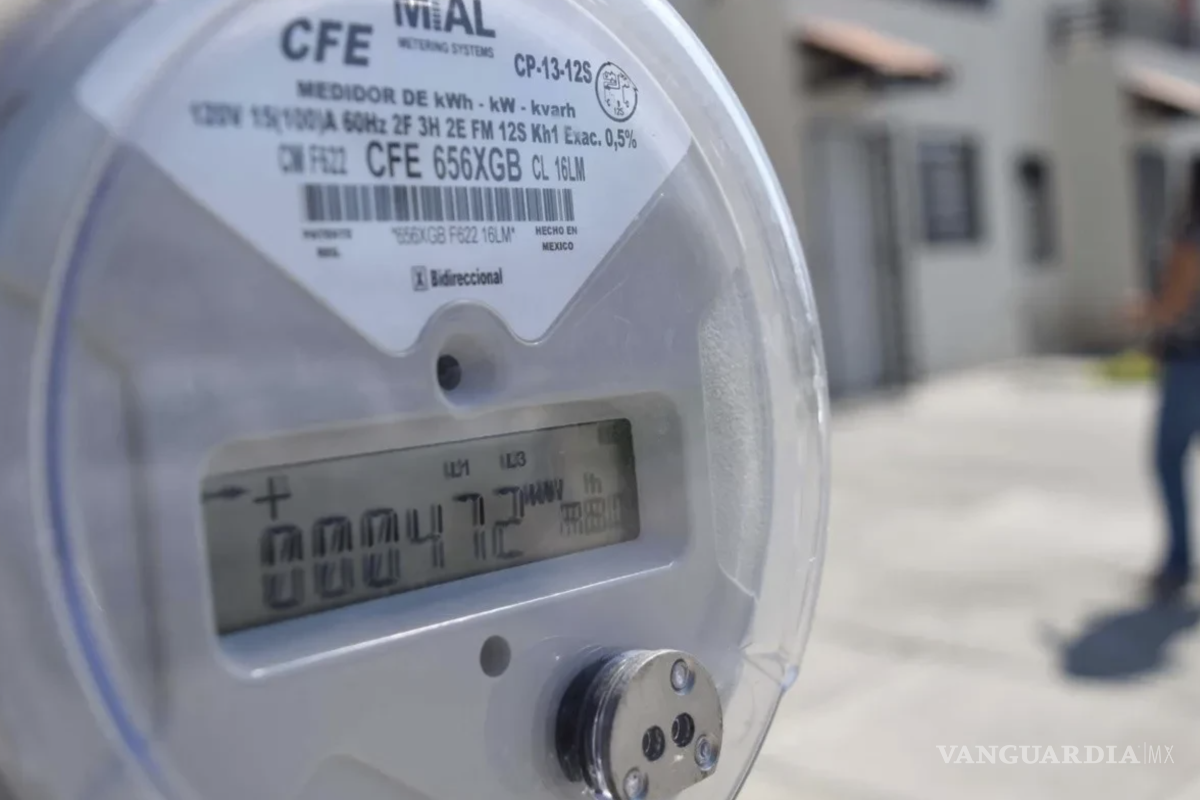 $!En la mayoría de los casos, el reemplazo es gratuito, siempre y cuando se compruebe el robo.