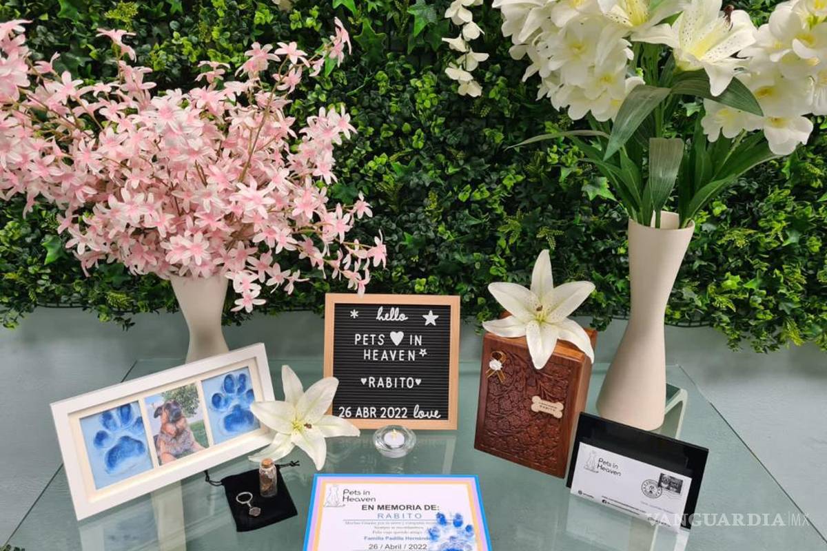 Hasta pronto Rabito de mi corazón