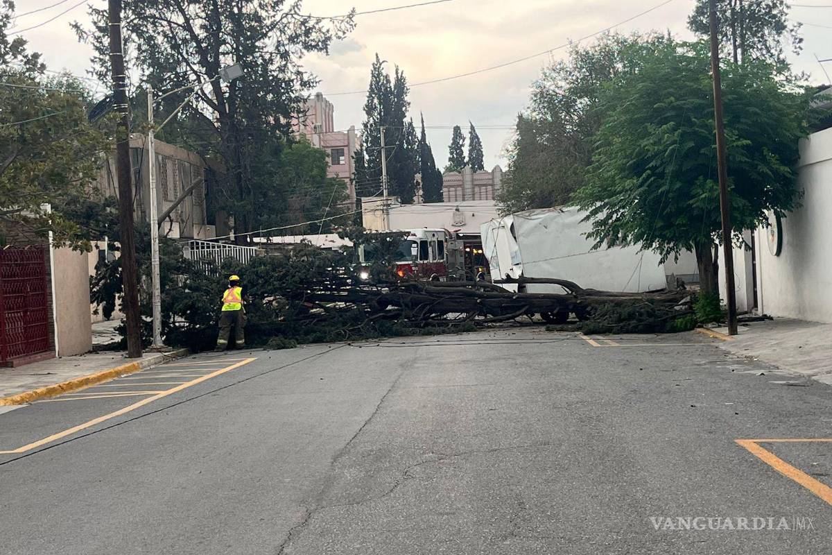 Tercera ola de calor terminó ayer... pero, ¿cuándo llega la siguiente a Coahuila?