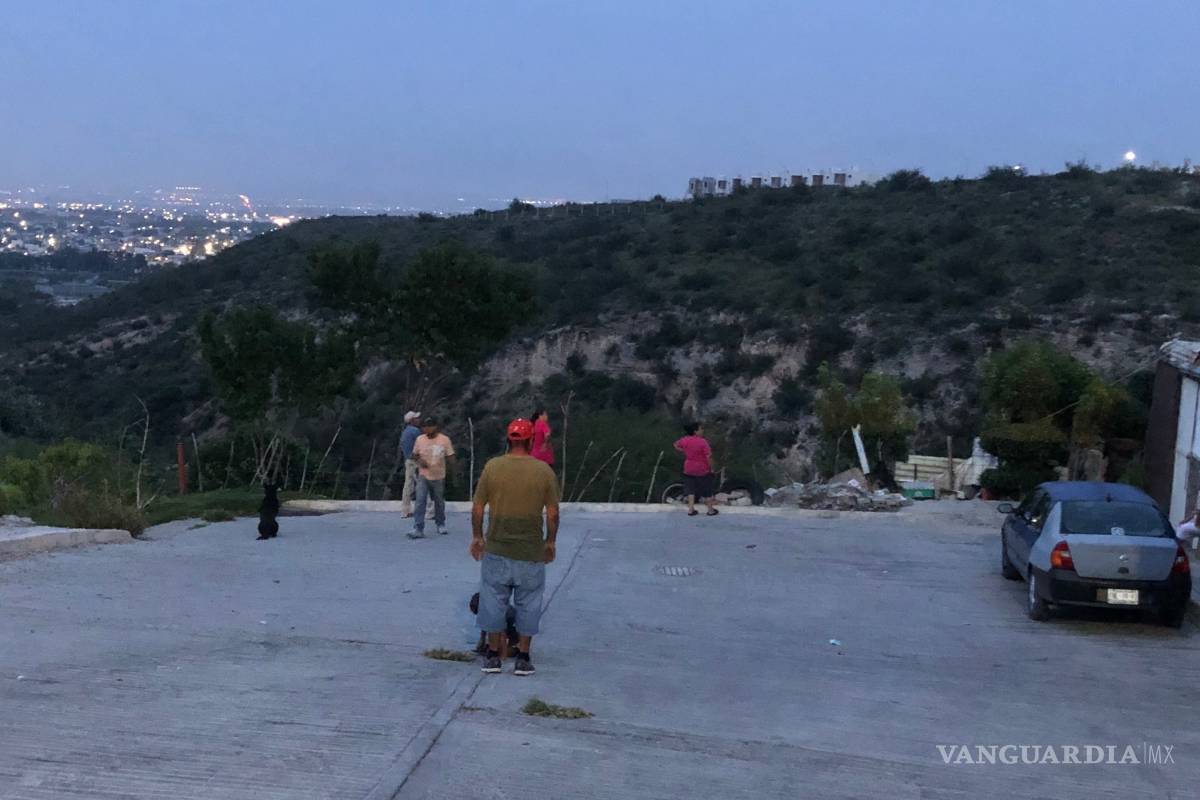 Asusta descenso de osezno a colonos de la María de León en Saltillo
