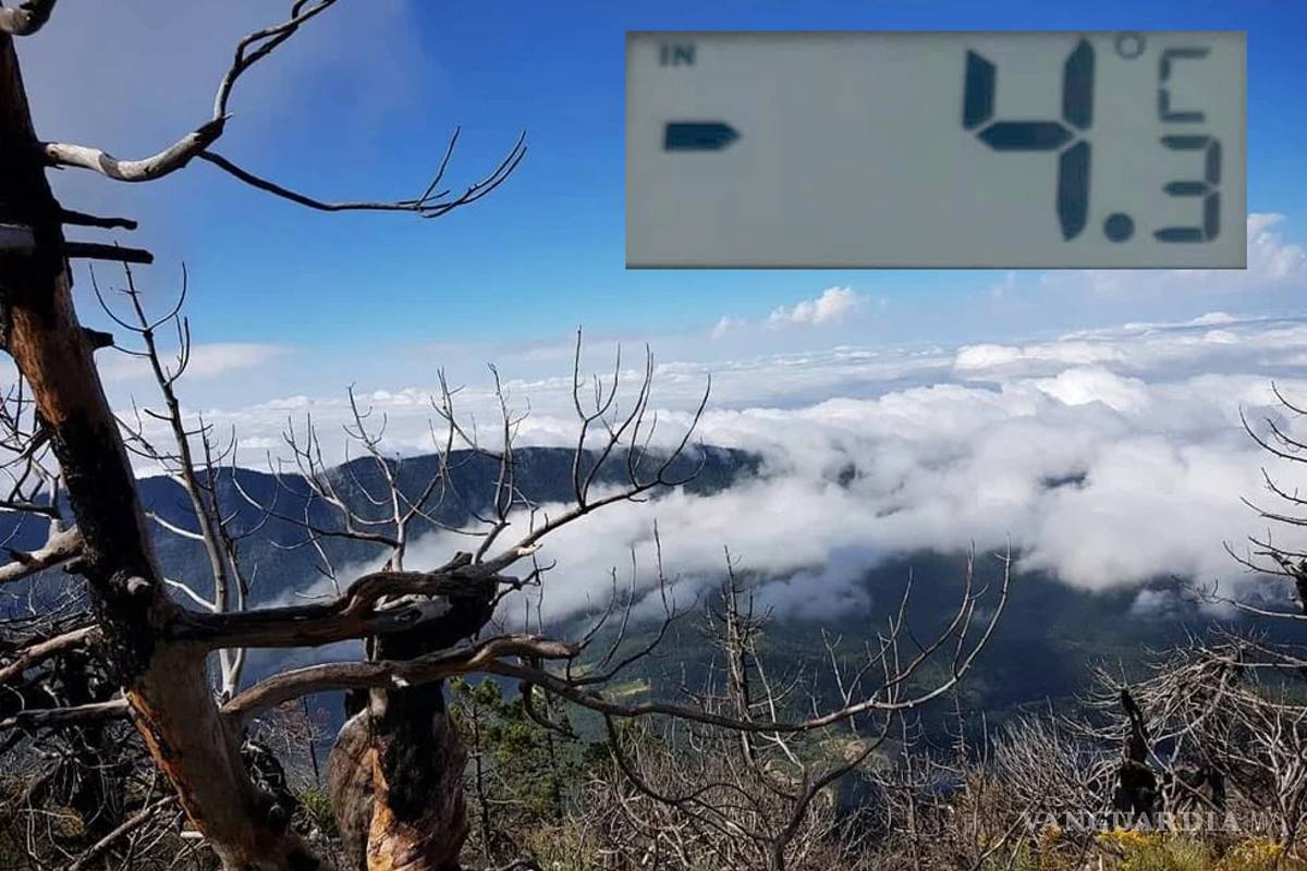 Frío en Coahuila: Amanece Arteaga con temperatura... ¡de -4 grados!