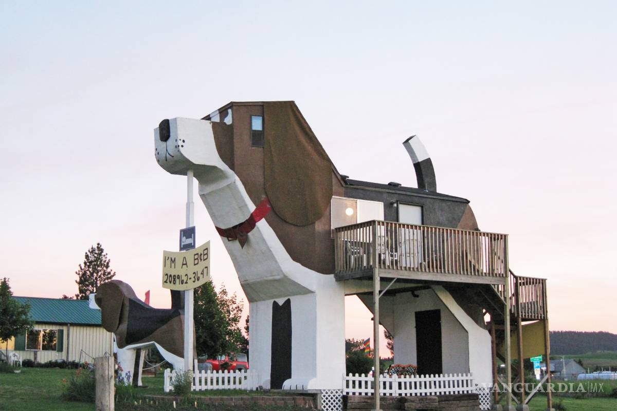 Estos son los hoteles más curiosos