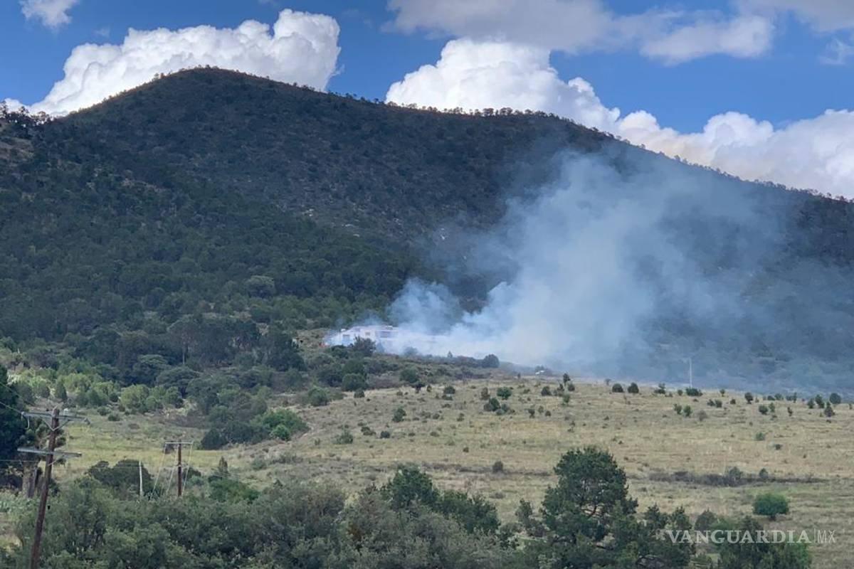 Causan incendio forestal por… ¡robar transformador!