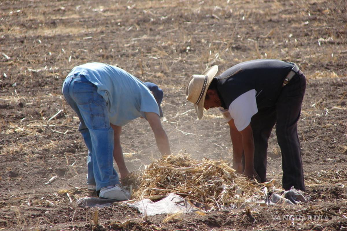 Gobierno de Peña Nieto deja un “campo inmerso en la pobreza”