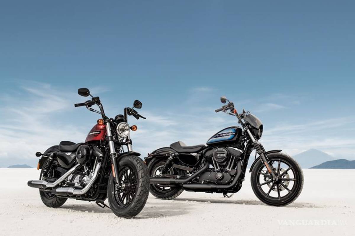 Harley-Davidson Iron 1200, creada para devorar el asfalto