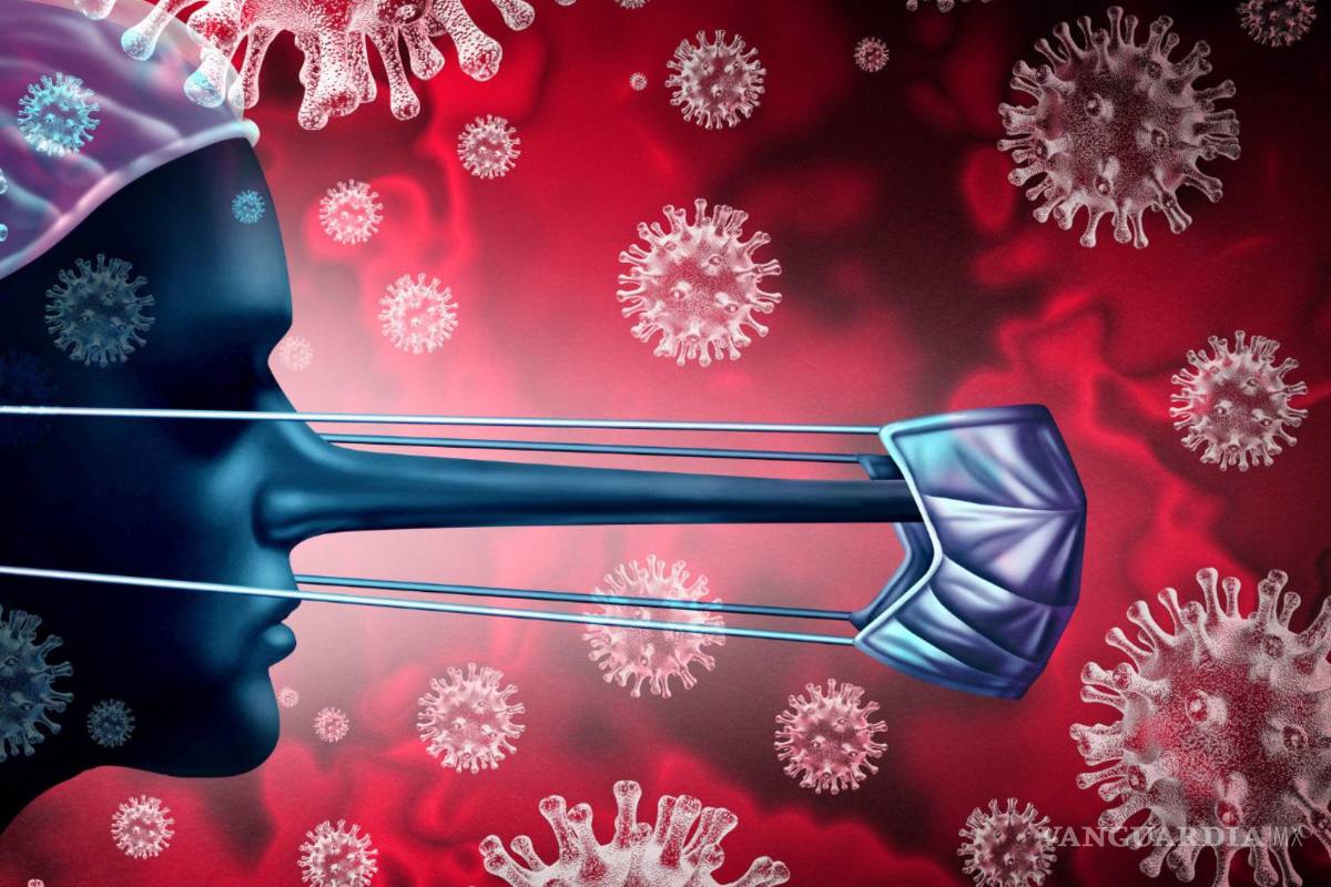 Las Fake News hacen una fortuna, la única forma de combatirla es detener el negocio