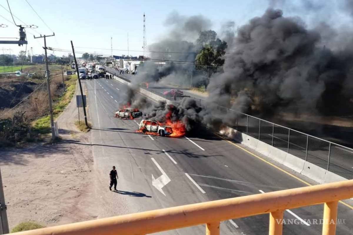Estos son los 7 cárteles que desatan la guerra en Guanajuato por el legado de "El Marro"