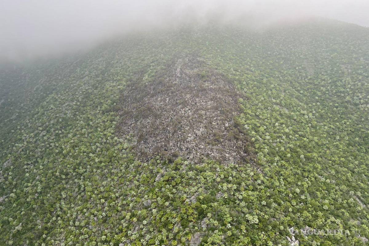 Liquidan al 100% incendio forestal en Villaldama, Nuevo León