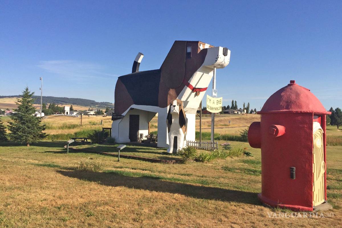 $!Estos son los hoteles más curiosos