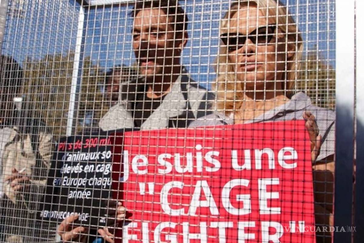 Pamela Anderson denuncia maltrato animal desde una jaula