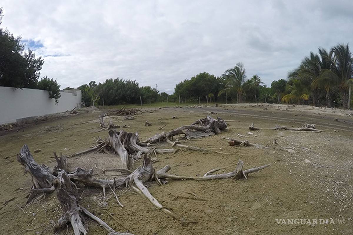 $!Gobierno federal inicia controversia constitucional para defender a Holbox