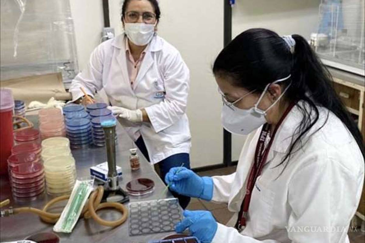 Hay tres fármacos y un extracto natural en México que podrían tratar COVID-19: UNAM