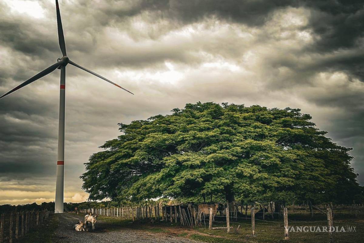 Invita AMDEE a participar en 6ta edición del Reto “Mi Vida y el Viento”