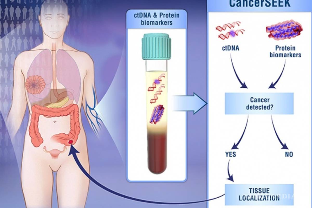 Crean test de sangre que detecta 8 tipos de cáncer