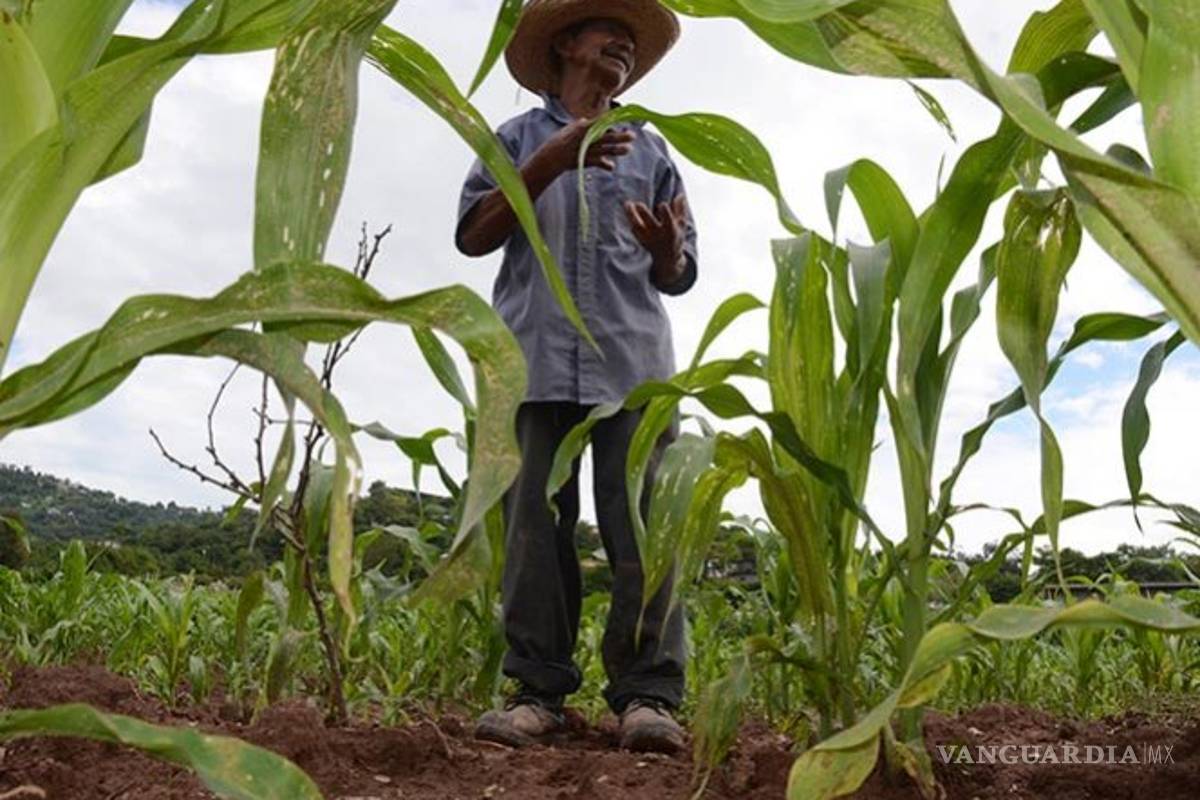 Censo Agropecuario 2017, en riesgo por menor presupuesto