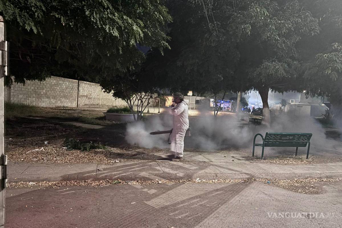 Permanente fumigación contra el dengue en Torreón