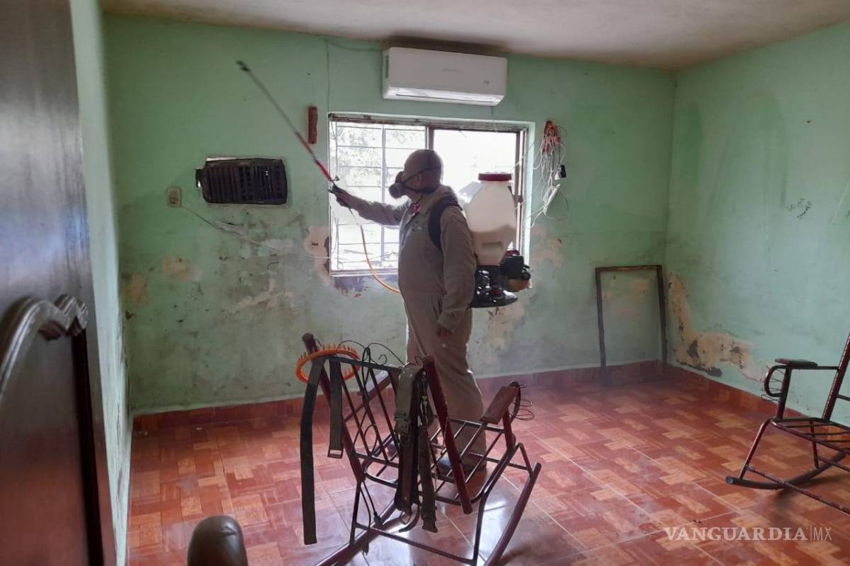 Surge brote de Dengue en Múzquiz tras inundación