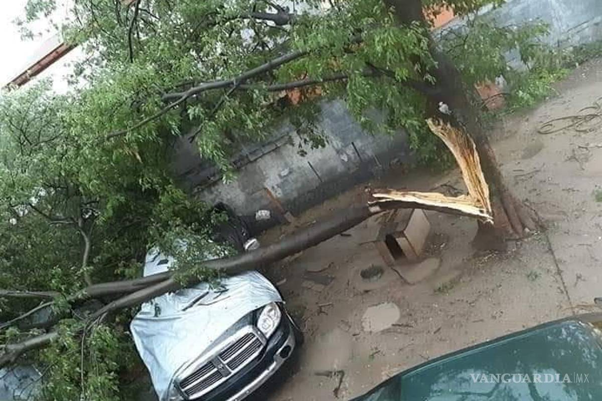 Azota fuerte tormenta a Nuevo Laredo; deja desgajamientos y vehículos dañados